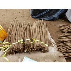 향이좋은 아삭아삭 국내산 햇우엉/최상품 4키로/바른먹거리/생우엉, 우엉상품특2kg(굵어요), 1개