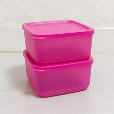 타파웨어 냉장기 김통 싱싱블럭 반찬통 밀페용기 650ml 526, 2개