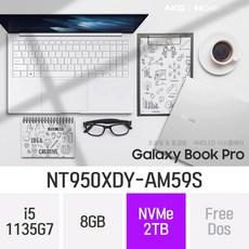 nt950xdy-am59s