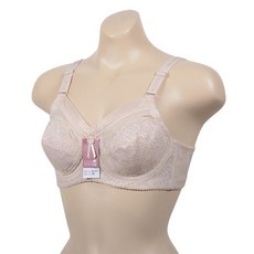 늘어진가슴브레이지어