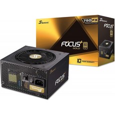 Seasonic FOCUS Plus Gold 750W (80+ 골드 ATX 12V) PSU / 전원 공급 장치 SSR-750FX-검정, 단일상품