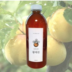 황매실청
