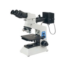 100배확대경 TOP01