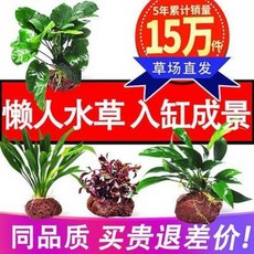 04ec511e1e503855a70d83bd0e9de20e56dacc445618f6f40292296cc75a.jpeg