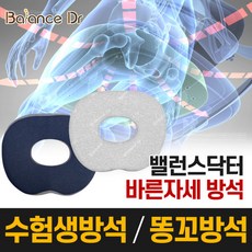 밸런스닥터방석