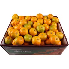 산지직송 [삼다몰]제주 노지 조생 감귤 중과 10kg M~L(81~120과 내외), 단품없음