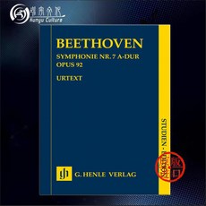 헨레베토벤로망스op.40