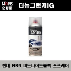 순정품 현대 더뉴그랜져IG NB9 미드나이트블랙 스프레이 자동차 차량용 도색 카페인트, NB9 미드나이트블랙 스프레이(모비스), 1개, 개당 중량