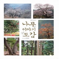 가시나무새책