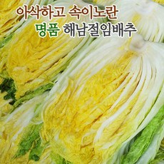 [11월 날짜선택] 명품 해남 절임배추 10kg (3~5포기) 국내산 천일염 소금 절인배추, 11월 30일 목요일 도착