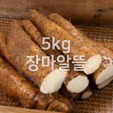 안동 태산농장 장마 2kg 3kg 5kg