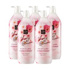 미쟝센체리블라썸