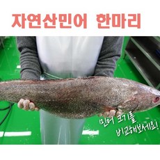 민둥산