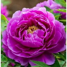 5d38656c22898298c90665f3e075e69f0460a32fdd727940eedca46d4193.jpg