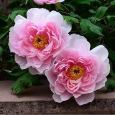5f3d62ee44871c2cc6a4af0a50267af3c8e329bb6c5334abea63e40af5f3.jpg