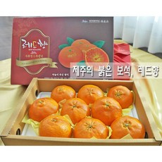 허니삼구 고당도 꿀맛 제주 레드향 설 명절 선물세트 3KG 5KG, 1박스, 5kg(13-22과)