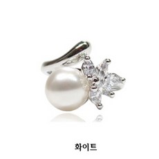 진주반지대
