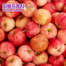 따봉프레시 못생겨도 당도높은 프리미엄 주스용 사과, 1개, 4.5kg
