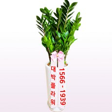 823c9d8d89993be9f6df1fc98abc1433fd6a2e293a741efc3872ddb2b0fd.jpg