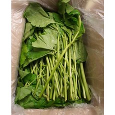 [당일채취 / 농가직송] 싱싱하고 달짝지근한 국내산 아욱, 1개, 400g