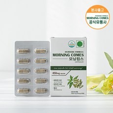 모닝컴스 퀵 케어 캡슐 아유르베딕 포뮬라