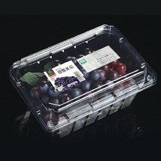 파텍7118