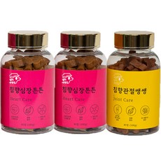 소동물심장학온라인매뉴얼