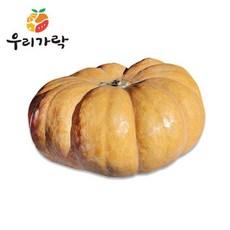 우리가락 늙은호박 1개 4-5kg, 없음, 상세설명 참조
