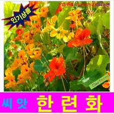 b077f1025464db99139340196d1ef455dd3c0dede4e13f33d40f4994c8a1.png