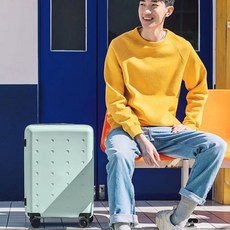 샤오미20인치캐리어