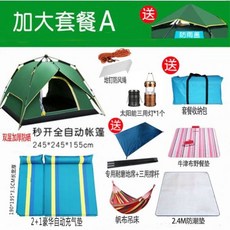 q2비자