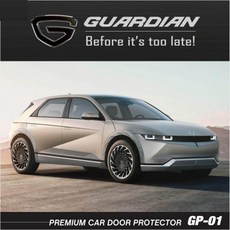 아이오닉5가디언도어가드