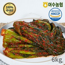 [여수농협] 여수돌산 갓김치 6kg(3kg+3kg) (국내산 100%), 6kg, 1개