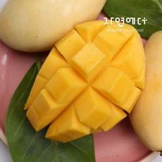 자연에더 Song`s 망고 베트남 골드망고 3~6과 / 1.5kg 내외, 1개