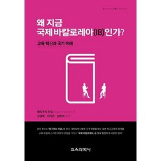 ib교육
