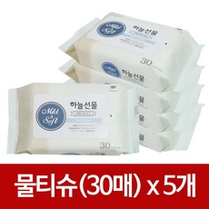 휴대용물티슈핫딜