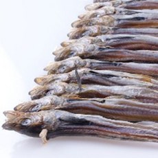 없음 노가리(30cm) 1태(20마리) 20마리, 1개