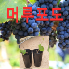b0da2dbcf0c39ab9901ea3d354a323c9f9e16ae59eb9e7a02c0f63aee019.png