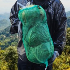양배추 TOP01