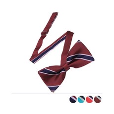 남자어린이보타이