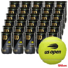 윌슨테니스공2구