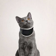  강아지 경추보호대 강아지 수술후 보조기 목 디스크, 둘레 35.1cm 