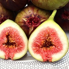 돌후룻컵람부탄