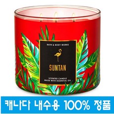 캔웍스