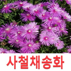 d6e15cb3d30b966576848c69dc5f73267a87218ce8f6112fb05a64f54228.png