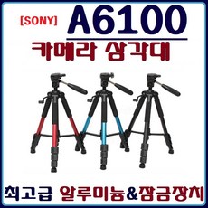 소니a6100