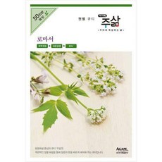 주야로묵상하는삶