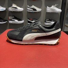 강남퍼스널컬러5만원