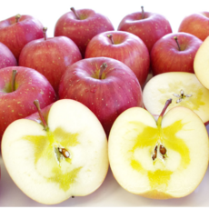 [꿀맛] 부사 흠집 못난이 사과, 1박스, 5kg