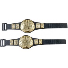 WWE 레슬링 액션 피규어 용 태그 팀 챔피언십 벨트 2 개 세트, 단일상품